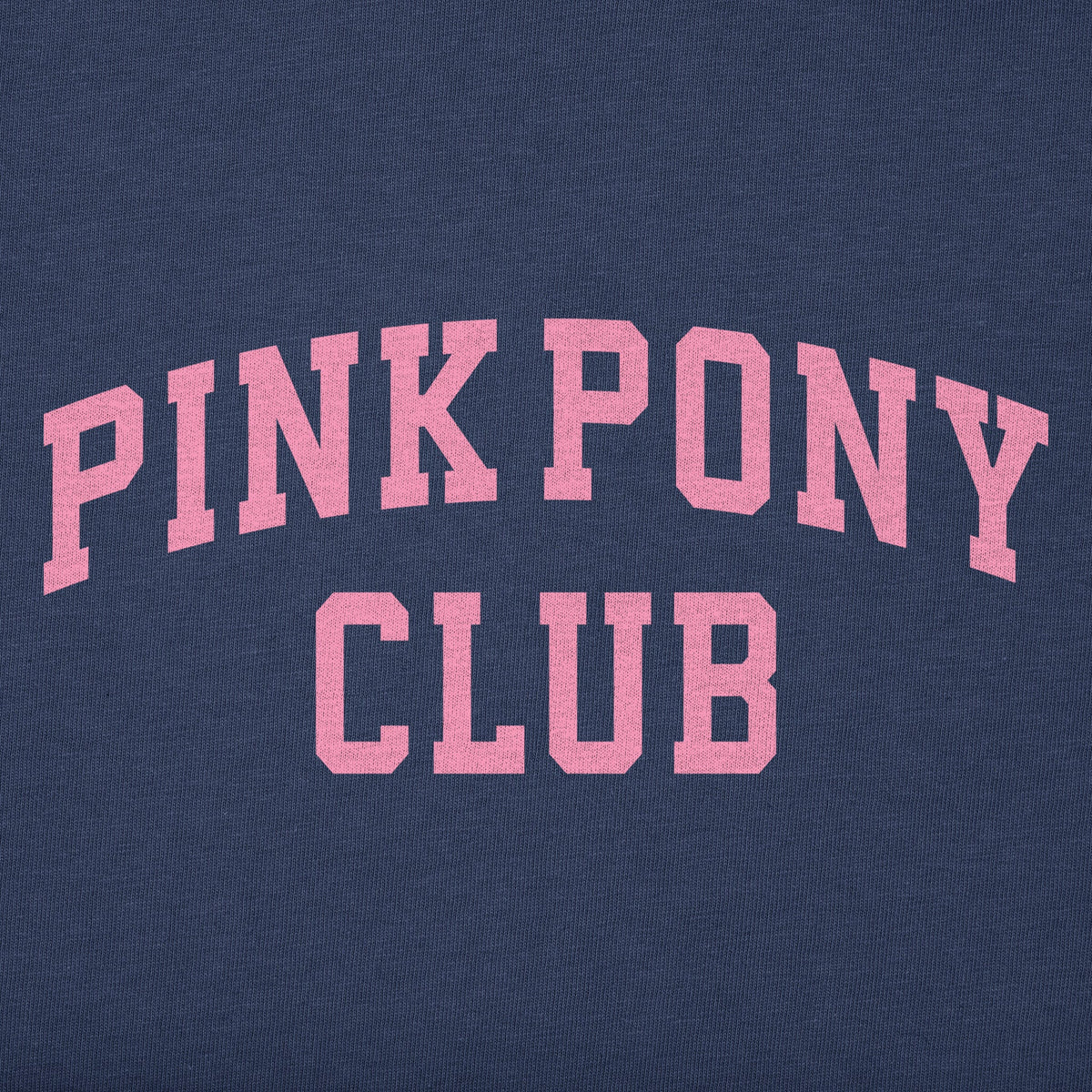 Toddler Pink Pony Club Arch Short Sleeve Crusher Tee product image 4