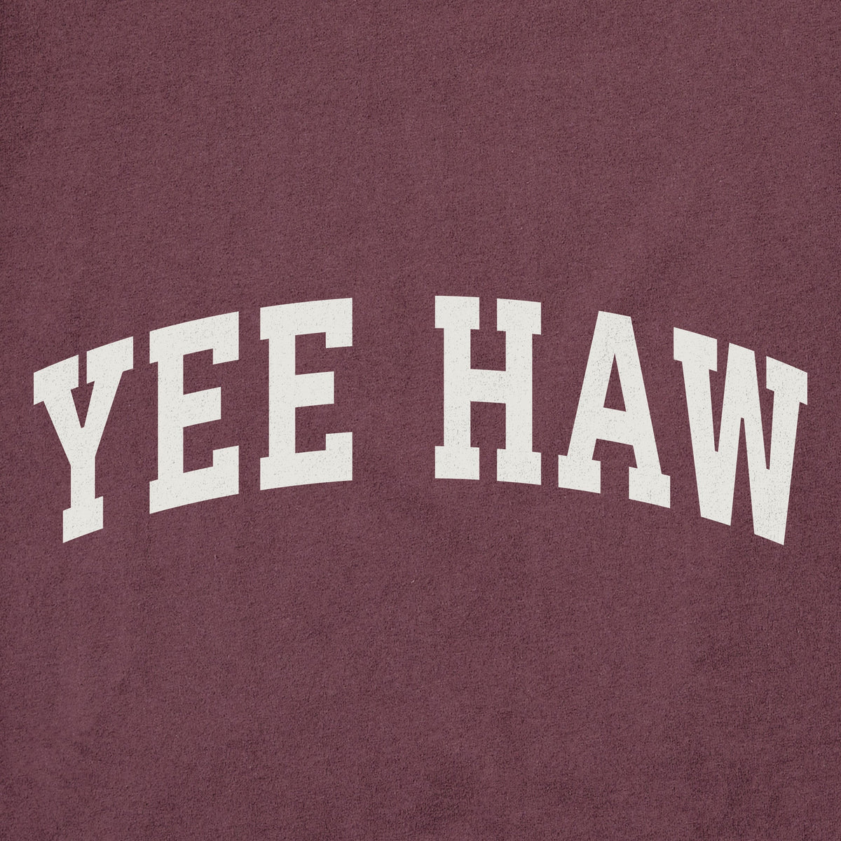Men's Yee Haw Arch Short Sleeve Crusher Tee product image 2