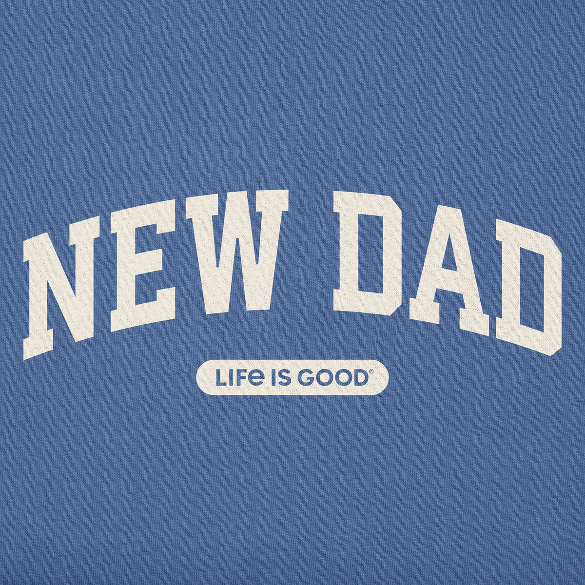 Men's New Dad Arch Long Sleeve Crusher Tee product image 2
