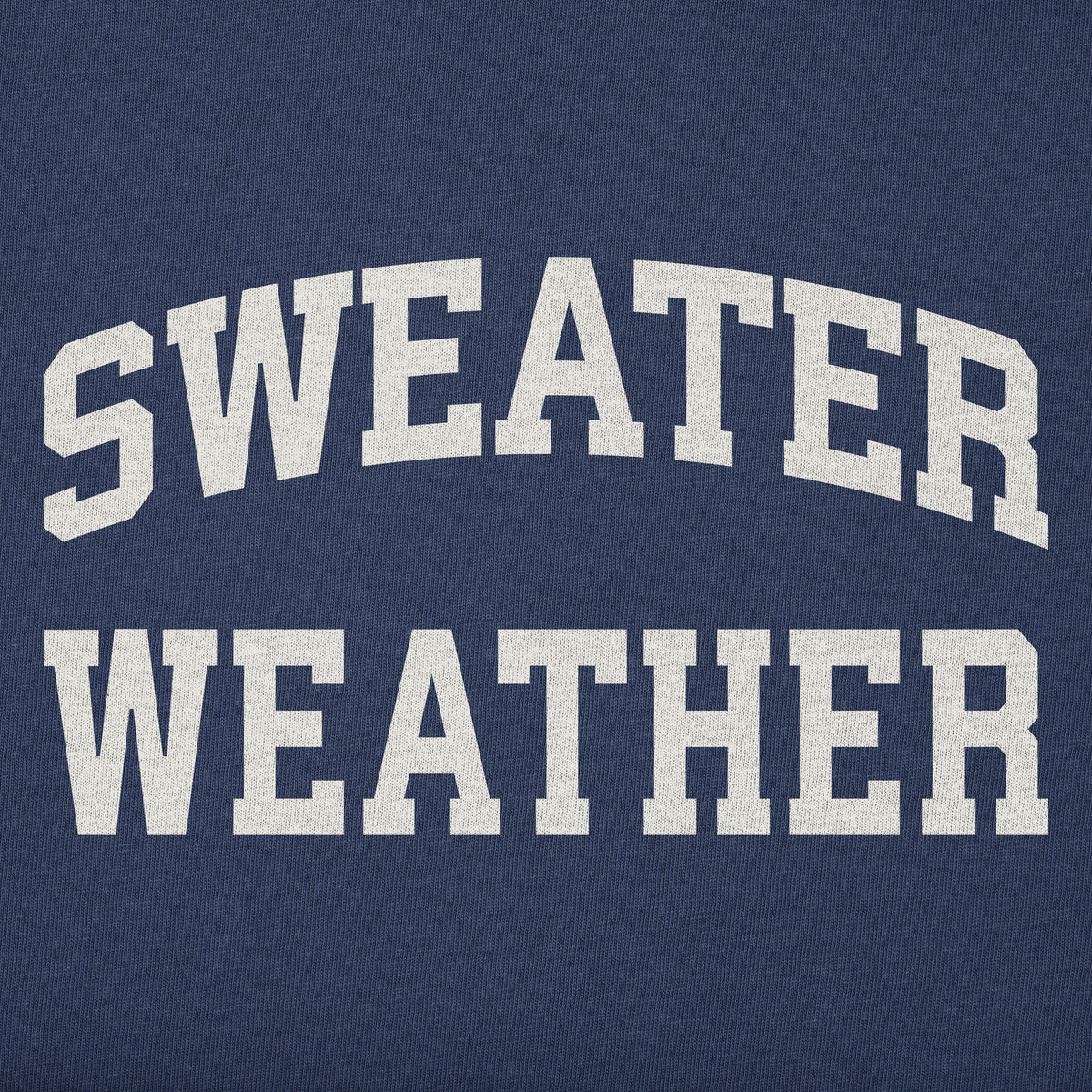Men's Sweater Weather Arch Long Sleeve Crusher Tee product image 2