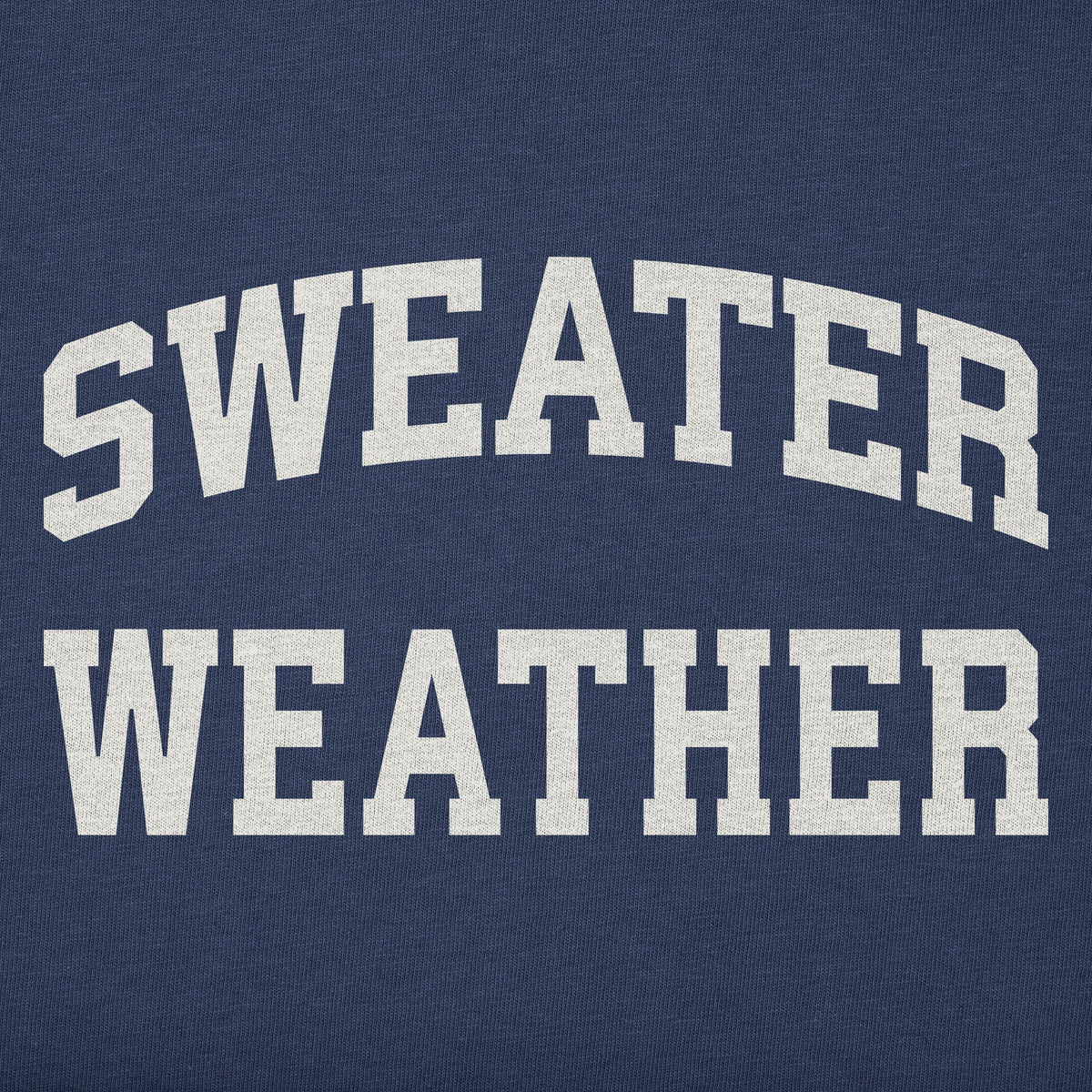 Women's Sweater Weather Arch Simply True Fleece Hoodie product image 2