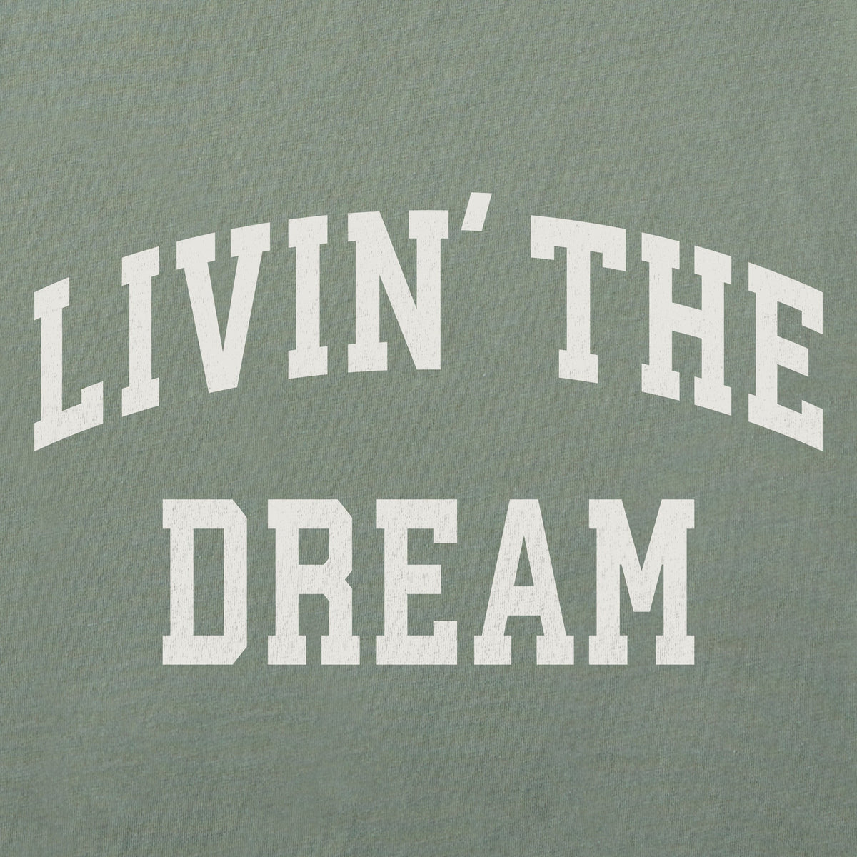 Women's Livin' the Dream Arch Short Sleeve Crusher Boxy Tee product image 2