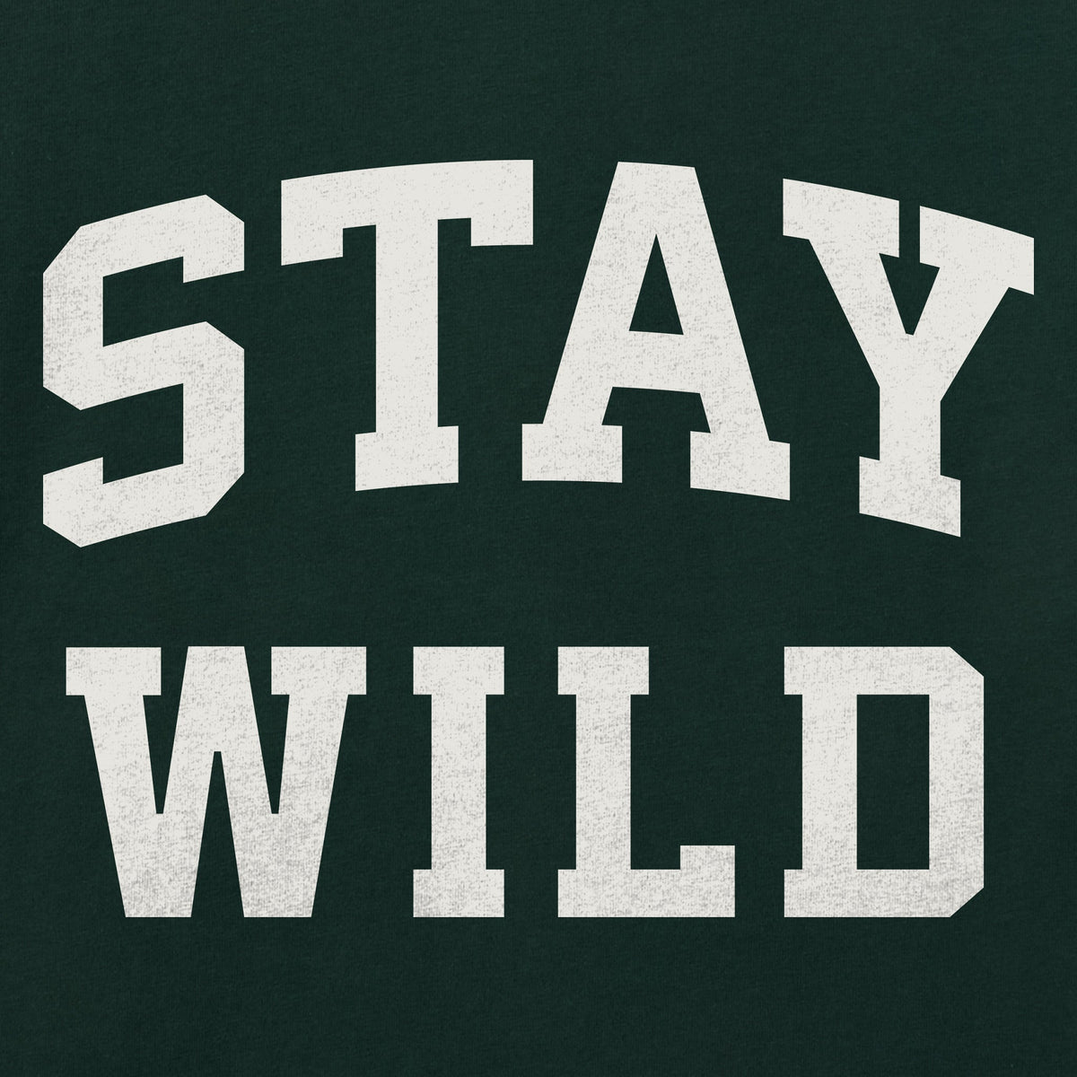 Women's Stay Wild Arch Short Sleeve Crusher Tee product image 2