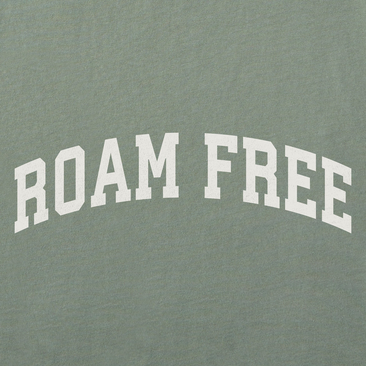 Women's Roam Free Arch Short Sleeve Crusher Tee product image 2