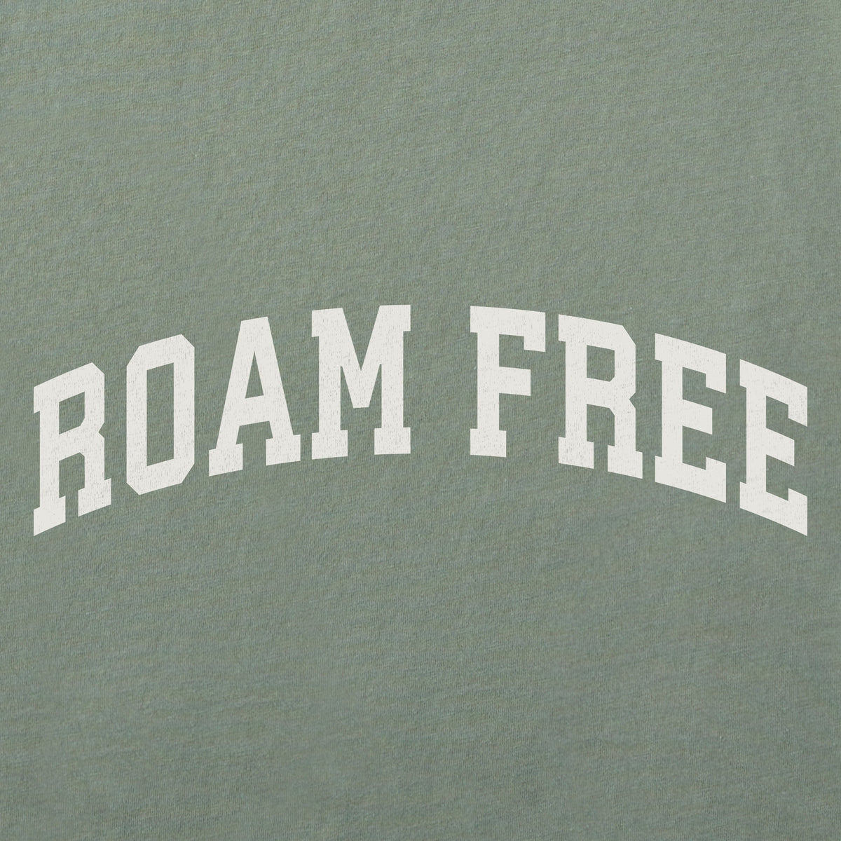 Women's Roam Free Arch Crusher-LITE Shrunken Tee product image 2