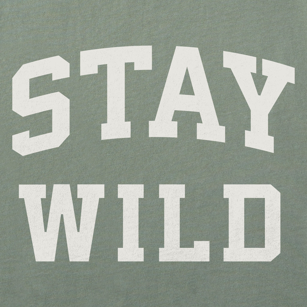Women's Stay Wild Arch Crusher-LITE Shrunken Tee product image 2