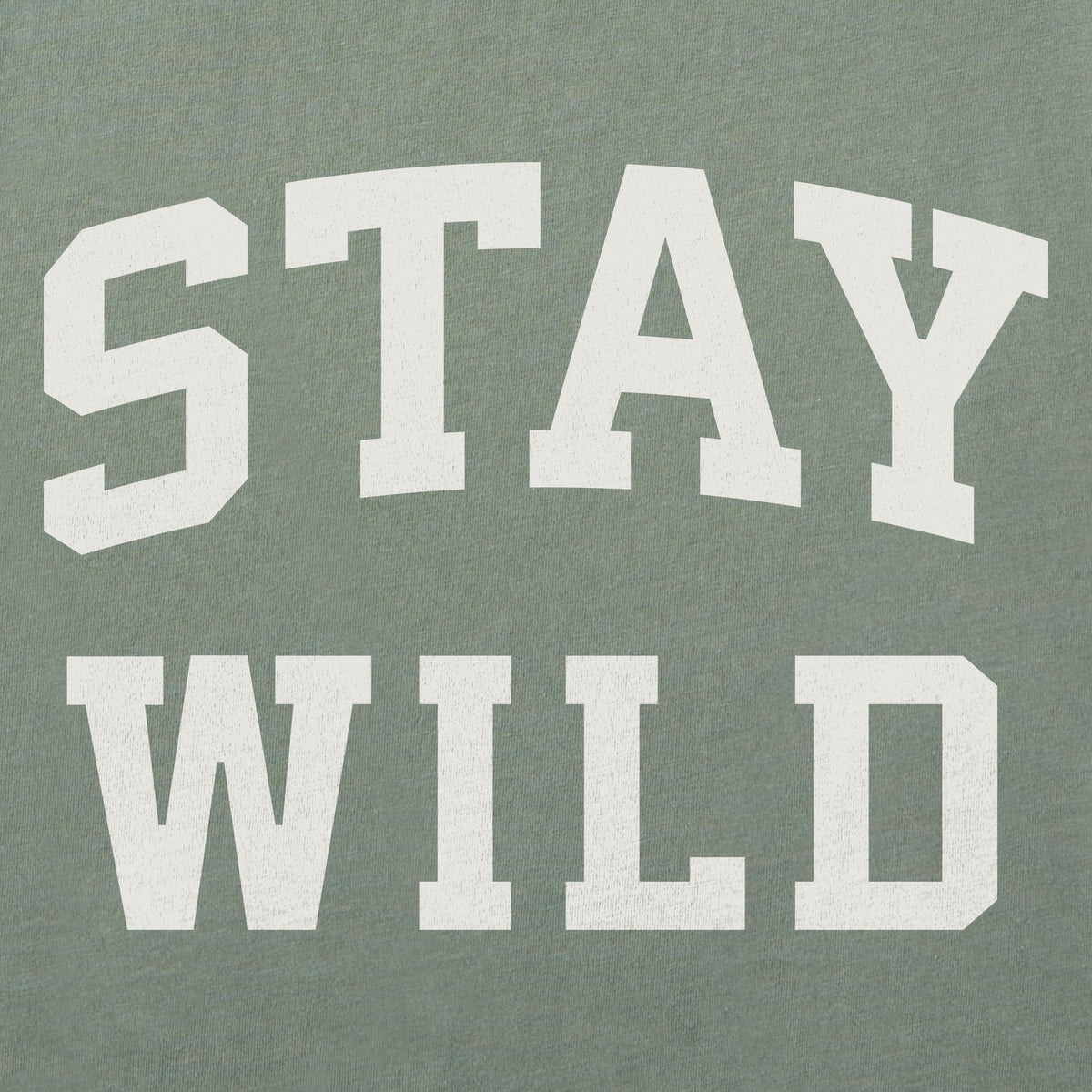 Women's Stay Wild Arch Crusher-LITE Shrunken Tee product image 2