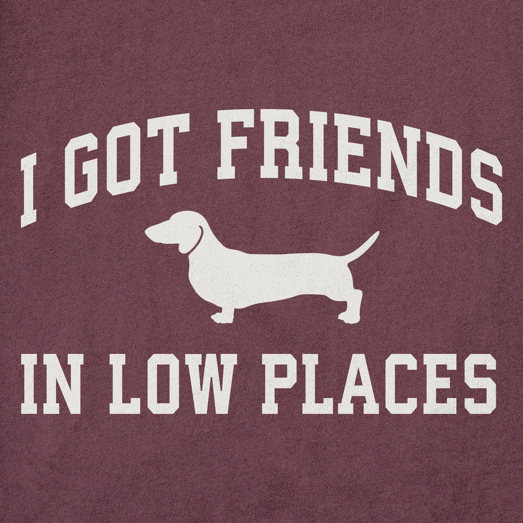 Men's I Got Friends Arch Short Sleeve Crusher Tee product image 2