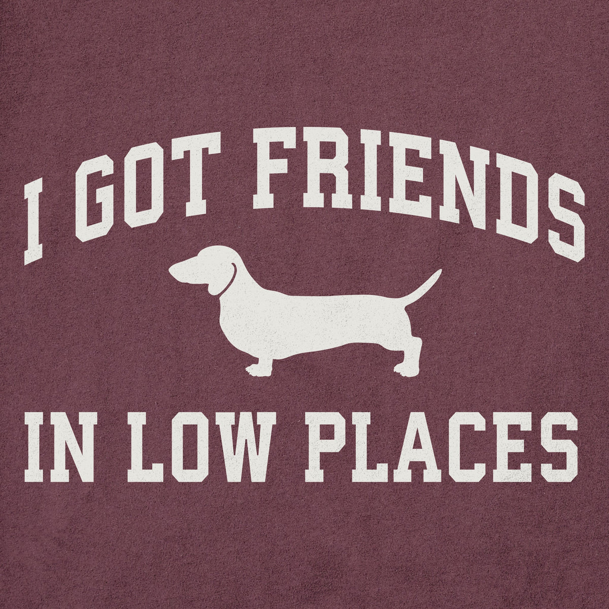Men's I Got Friends Arch Short Sleeve Crusher Tee product image 2