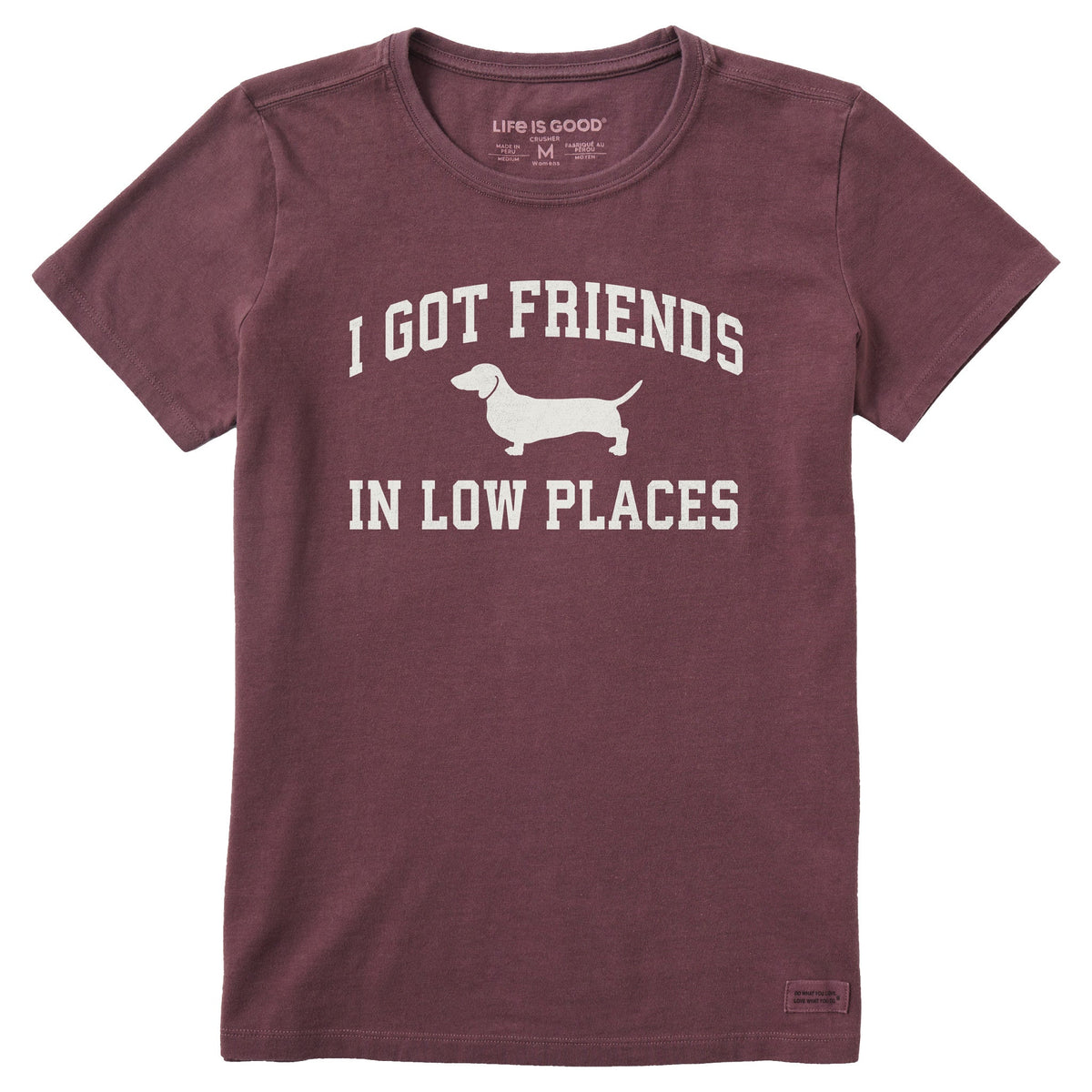 Women's I Got Friends Arch Short Sleeve Crusher Tee product image 1