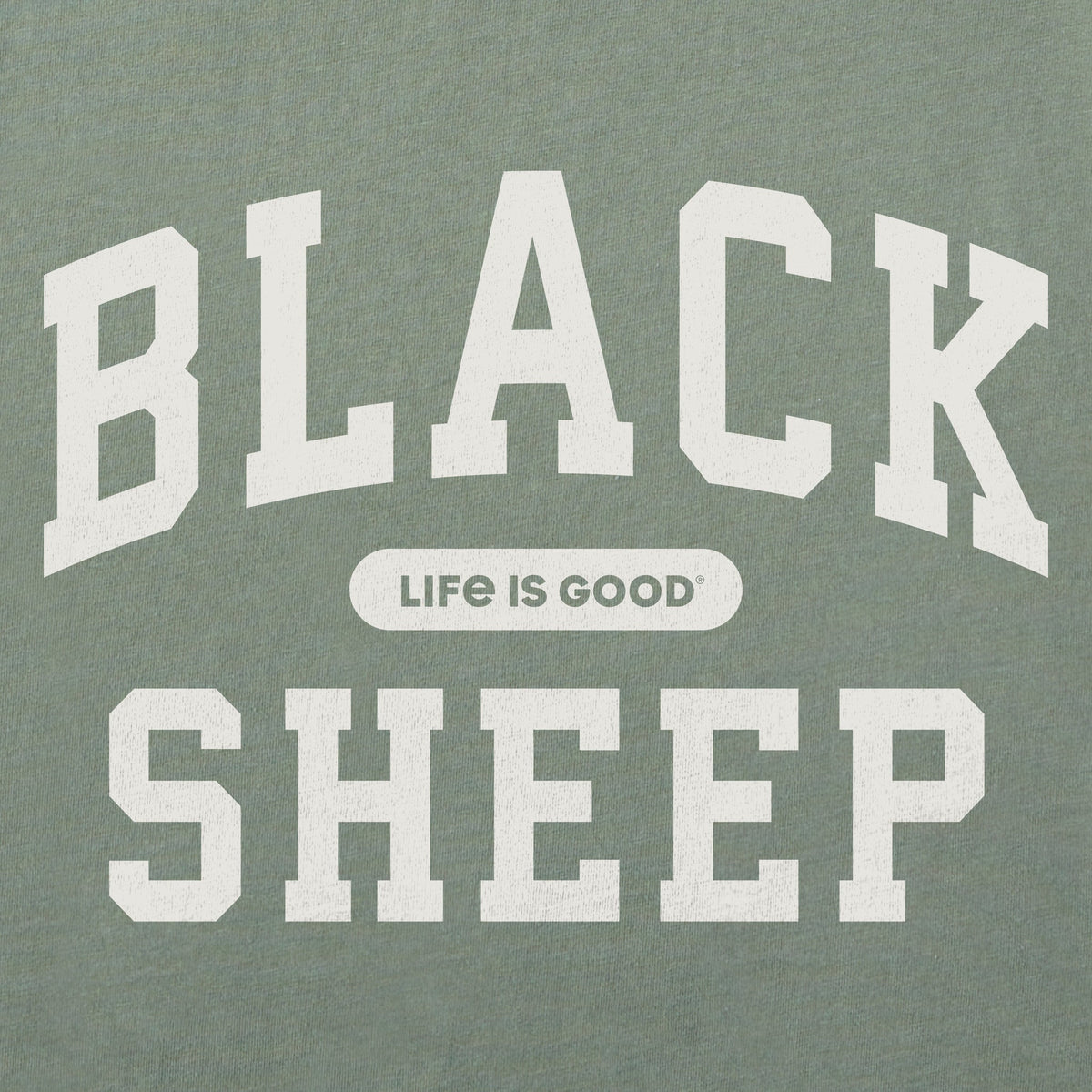 Women's Black Sheep Arch Short Sleeve Crusher Boxy Tee product image 2