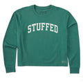 Women's Stuffed Arch Long Sleeve Crusher Boxy Tee product image 1