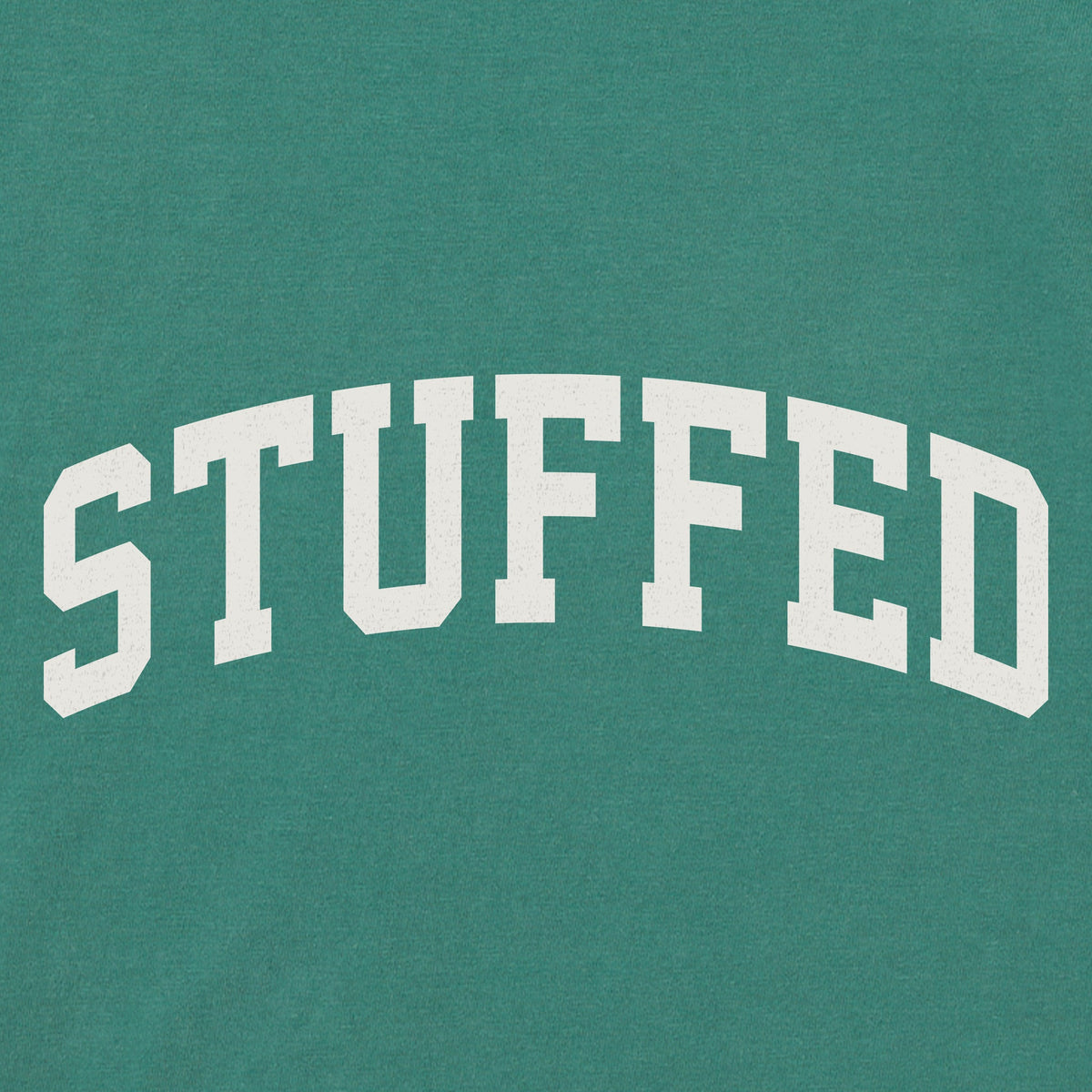 Women's Stuffed Arch Long Sleeve Crusher Boxy Tee product image 2