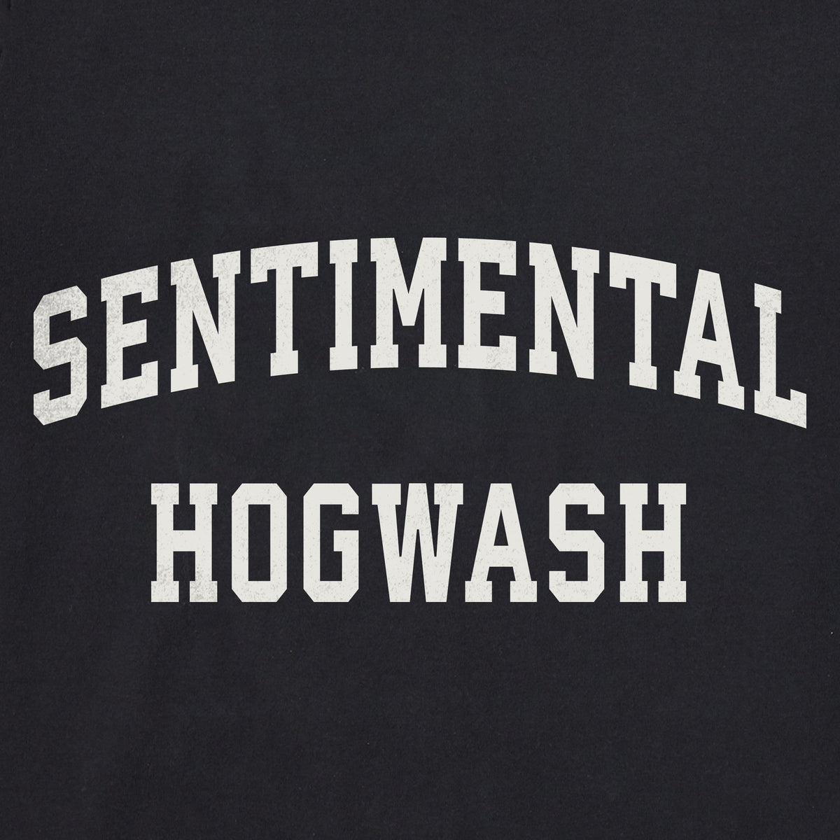 Men's Sentimental Hogwash Arch Long Sleeve Crusher Tee product image 2
