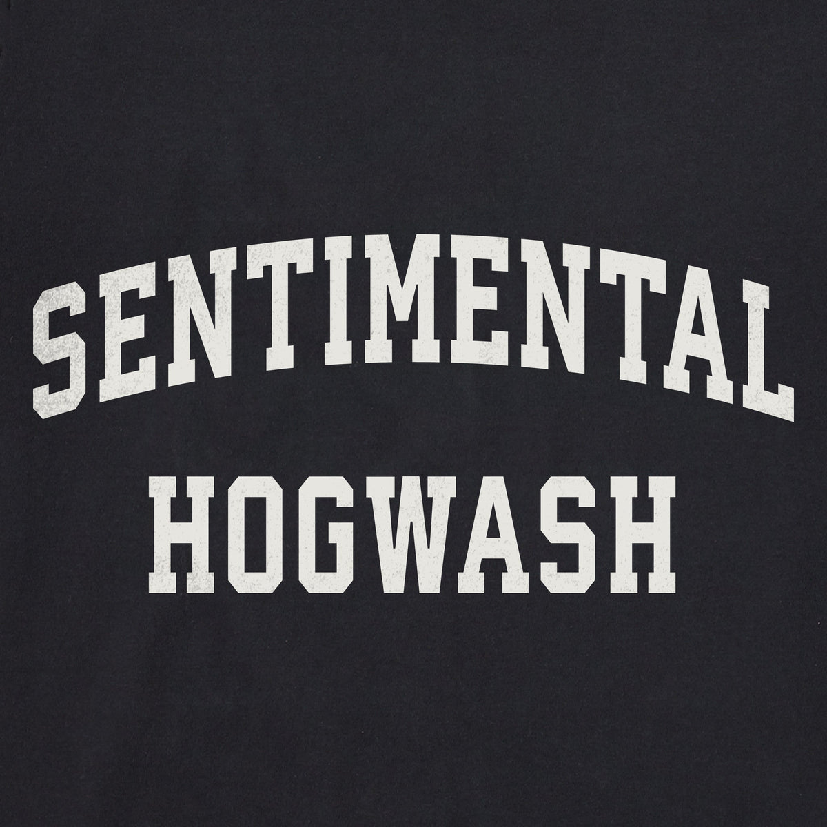 Women's Sentimental Hogwash Arch Long Sleeve Crusher Tee product image 2