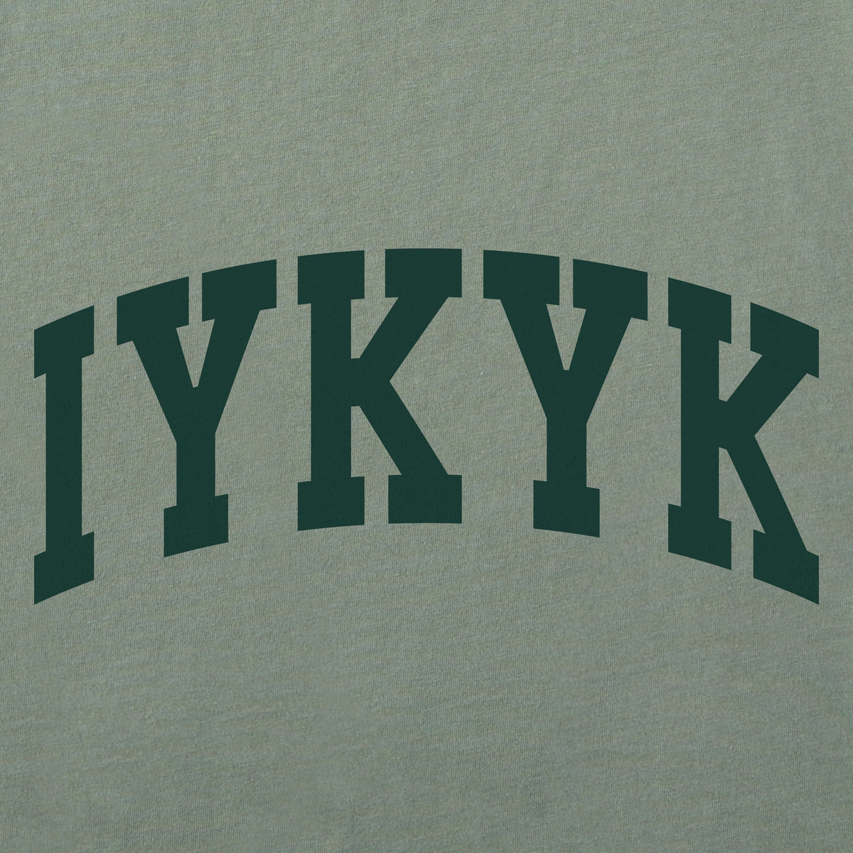 Women's IYKYK Arch Short Sleeve Crusher Vee product image 2