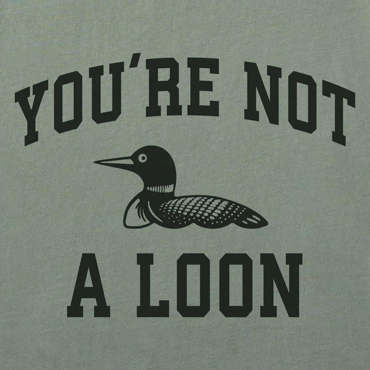 Women's You're Not a Loon Arch Crusher-LITE Shrunken Tee product image 2
